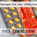 Kamagra Oral Jelly 100Mg Use new01